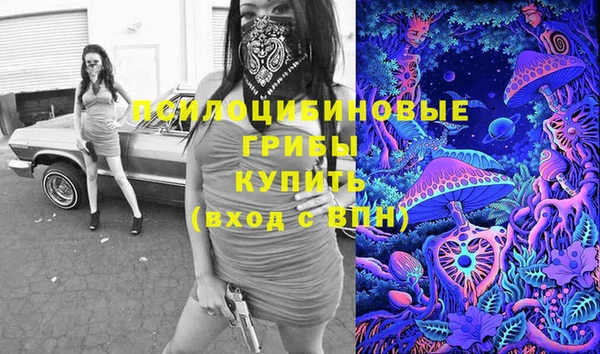 прущие крисы Горно-Алтайск