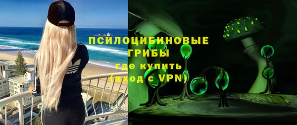 прущий лед Горняк