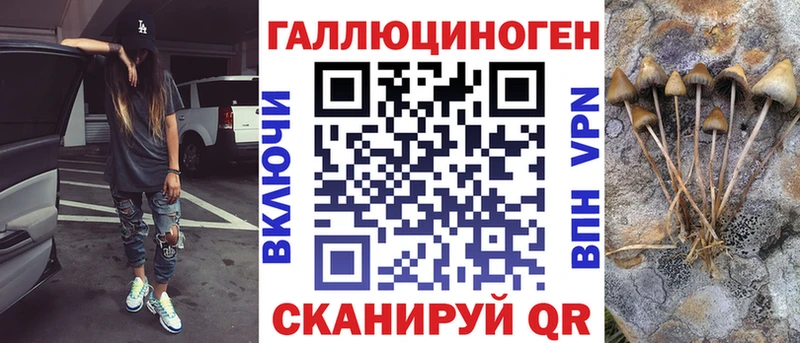 блэк спрут ссылка  купить наркотик  Оха  Галлюциногенные грибы мицелий 